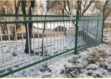 新疆大学生活区静电喷涂护栏2016年12月